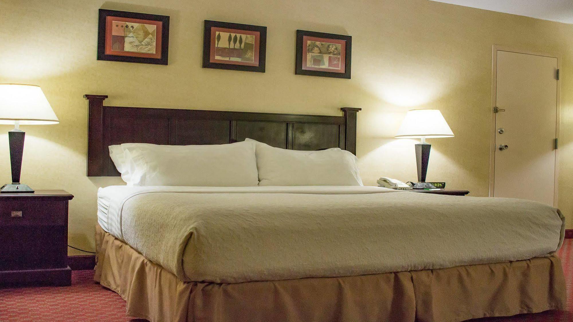 Holiday Inn Roanoke Airport - Conference Ctr By Ihg Buitenkant foto